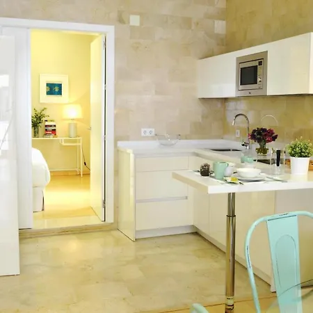 Homeyseville-penthouse Cathedral Tomas De Ibarra St 6 Pax, Parking Optional Appartement Sevilla