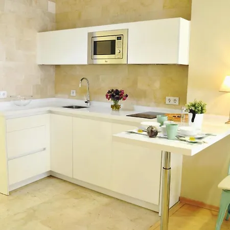 Homeyseville-penthouse Cathedral Tomas De Ibarra St 6 Pax, Parking Optional Lägenhet Sevilla